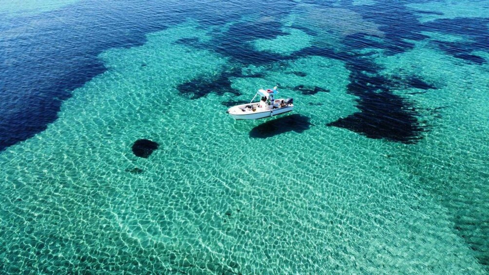 Picture 3 for Activity From Stintino: boat trip to Asinara