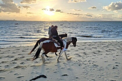 Private Horseback Riding on the Beach at Sunset