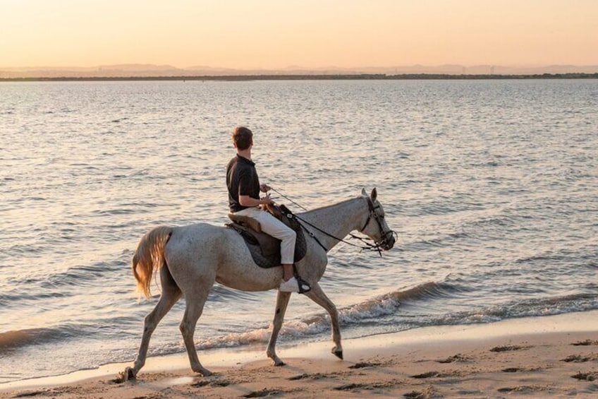 Private Horseback Riding on the Beach at Sunset