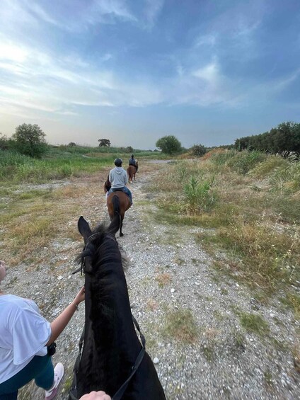 Picture 4 for Activity Rhodes: Horseback Riding Trip with Digital Photos