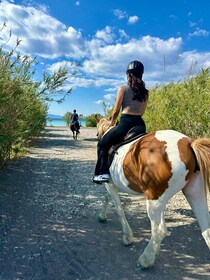 Rhodes: Horseback Riding Trip with Digital Photos