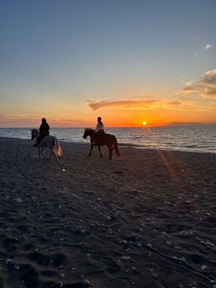 Picture 7 for Activity Rhodes: Horseback Riding Trip with Digital Photos