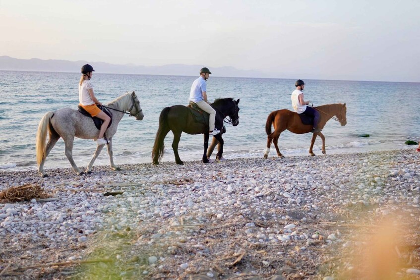 Picture 9 for Activity Rhodes: Horseback Riding Trip with Digital Photos