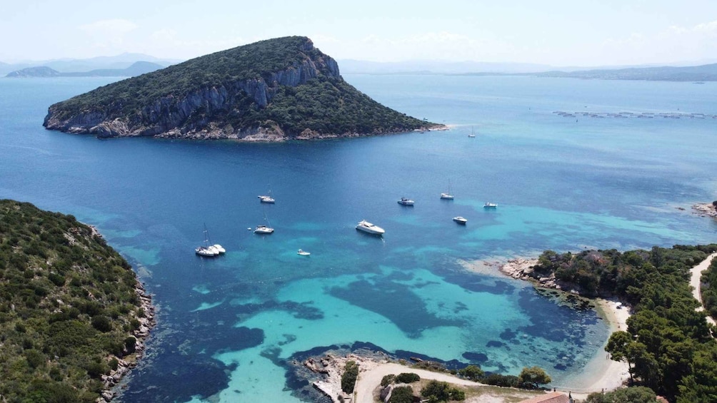 Picture 8 for Activity From Olbia: Tavolara or Cala Moresca Catamaran Tour