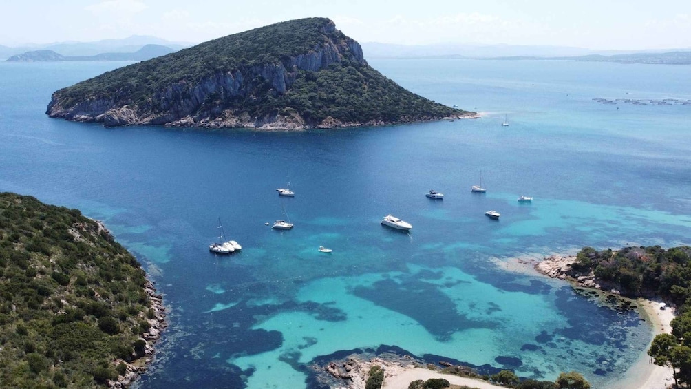 Picture 8 for Activity From Olbia: Tavolara or Cala Moresca Catamaran Tour