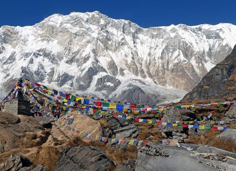 Picture 3 for Activity Annapurna Basecamp Heli landing tour from Pokhara