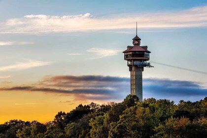 Branson: Entrada a la Torre de Inspiración de Shepherd of the Hills