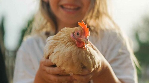 Olmedo: Besuch in einem Tierheim