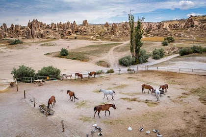 Desde Estambul: recorrido privado por Capadocia, Éfeso y Pamukkale