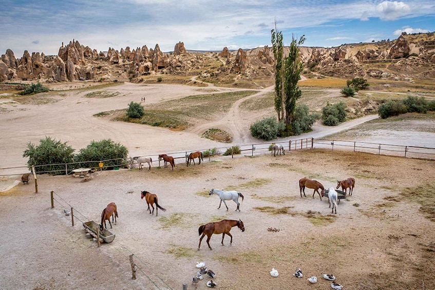 From Istanbul: Cappadocia, Ephesus, & Pamukkale Private Tour