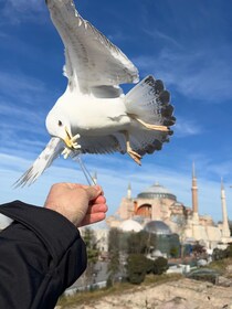 Istanbul: Best of The City Ganztagestour mit Transfers