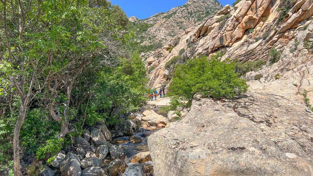 Picture 15 for Activity San Teodoro: Canyoning in Rio Pitrisconi with 4X4 transfer