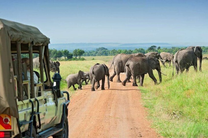 6Days Samburu, Ol Pejeta And Maasai Mara Flying Luxury Safari