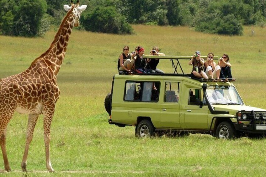 6Days Samburu, Ol Pejeta And Maasai Mara Flying Luxury Safari