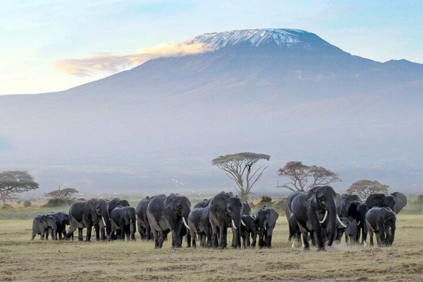 6Days Samburu, Ol Pejeta And Maasai Mara Flying Luxury Safari