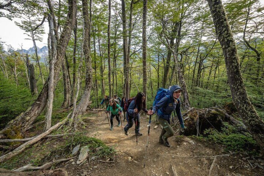 Trekking in Laguna Turquesa and Monte Carbajal