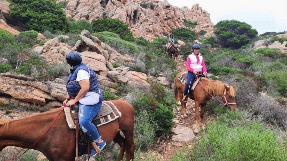 Picture 5 for Activity From Palau: minibus tour and horseback ride in La Maddalena