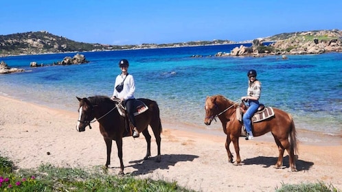 From Palau: minibus tour and horseback ride in La Maddalena