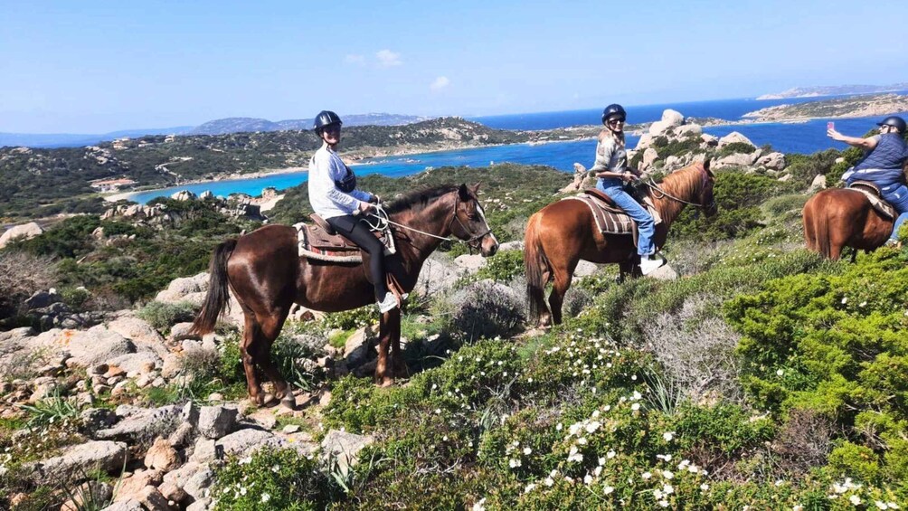 Picture 1 for Activity From Palau: minibus tour and horseback ride in La Maddalena