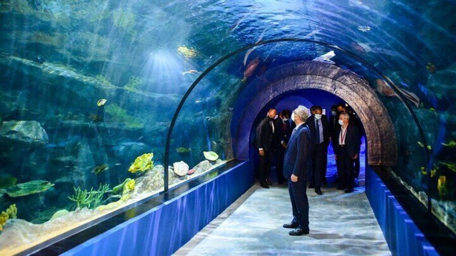 Full-day Tour of Odysseo Aquarium and Chateau de Labourdonais