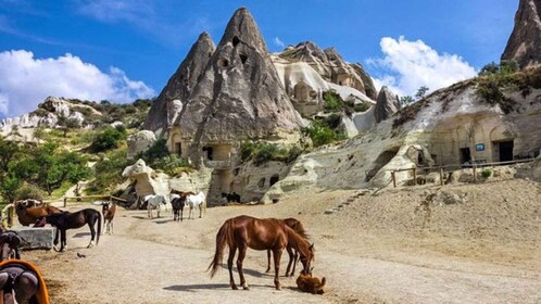 Göreme: Cappadocia Horseback Ride at Sunset or Sunrise