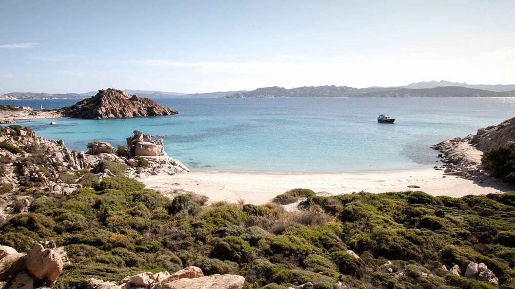 Picture 5 for Activity Santa Teresa: Speedboat Tour of the La Maddalena Archipelago