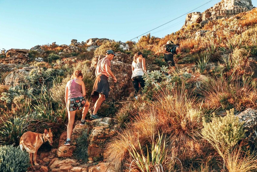 Picture 2 for Activity Cape Town: Table Mountain Hike via India Venster