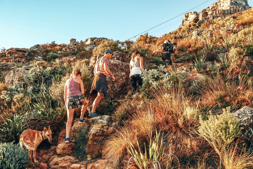 Picture 2 for Activity Cape Town: Table Mountain Hike via India Venster