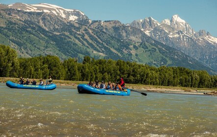 13 mils naturskjønn raftingopplevelse i Snake River fra Jackson