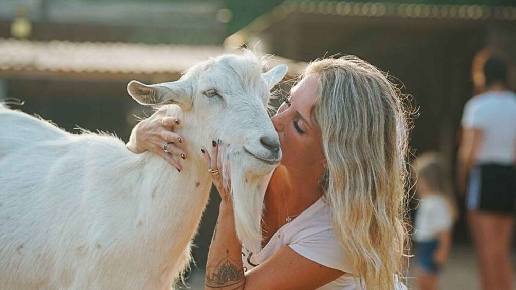 Olmedo: Visit to an animal shelter with lunch or dinner