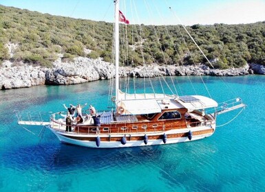 Bodrum : Gulet privé excursion avec déjeuner