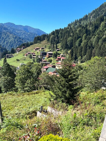 Picture 1 for Activity Rize: Ayder Highland Village & Tea Tasting Private Day Trip