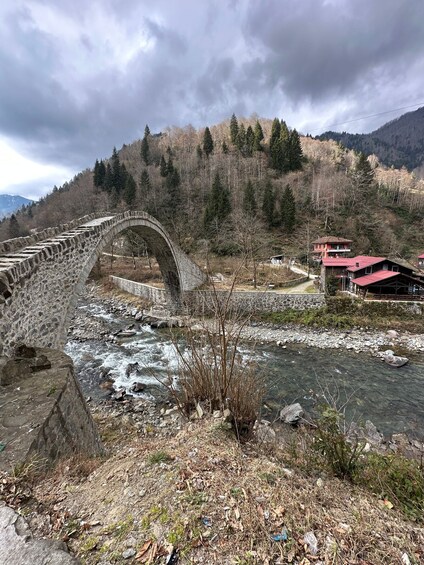 Picture 7 for Activity Rize: Ayder Highland Village & Tea Tasting Private Day Trip