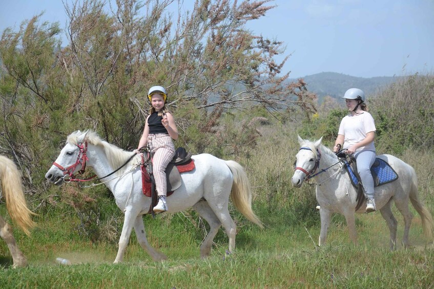 Picture 4 for Activity Kusadasi: Beach and Forest Horse Riding Tour