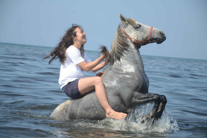Picture 3 for Activity Kusadasi: Beach and Forest Horse Riding Tour