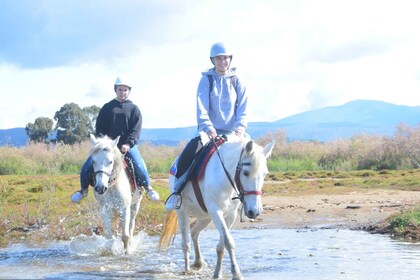 Kusadasi : Excursion d’équitation sur la plage et la forêt