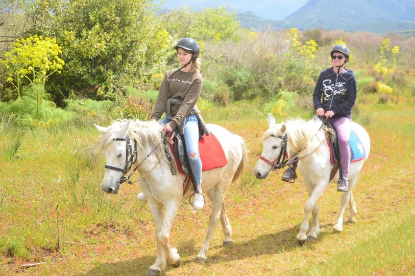 Picture 3 for Activity Kusadasi: Beach and Forest Horse Riding Tour