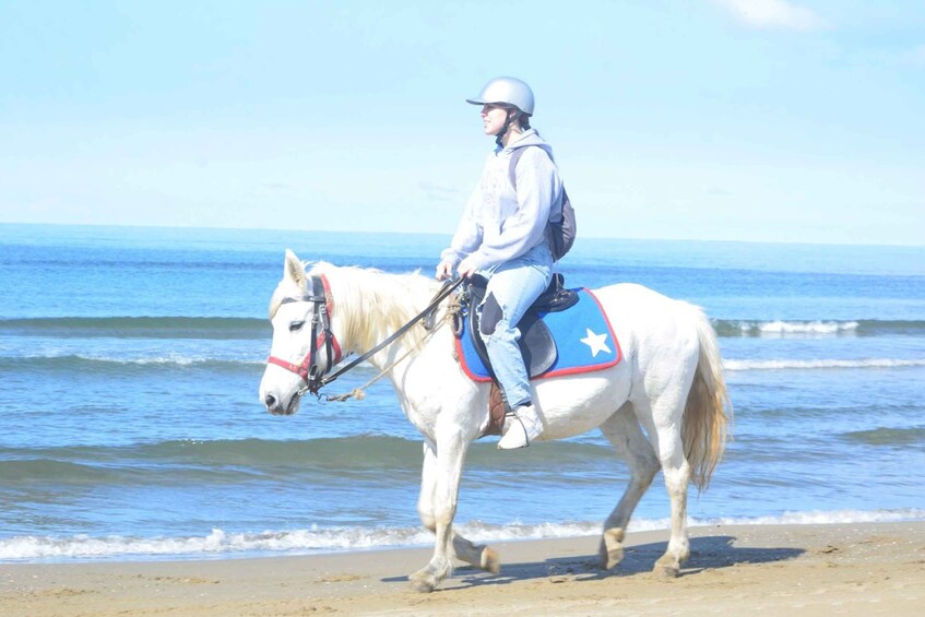 Picture 2 for Activity Kusadasi: Beach and Forest Horse Riding Tour