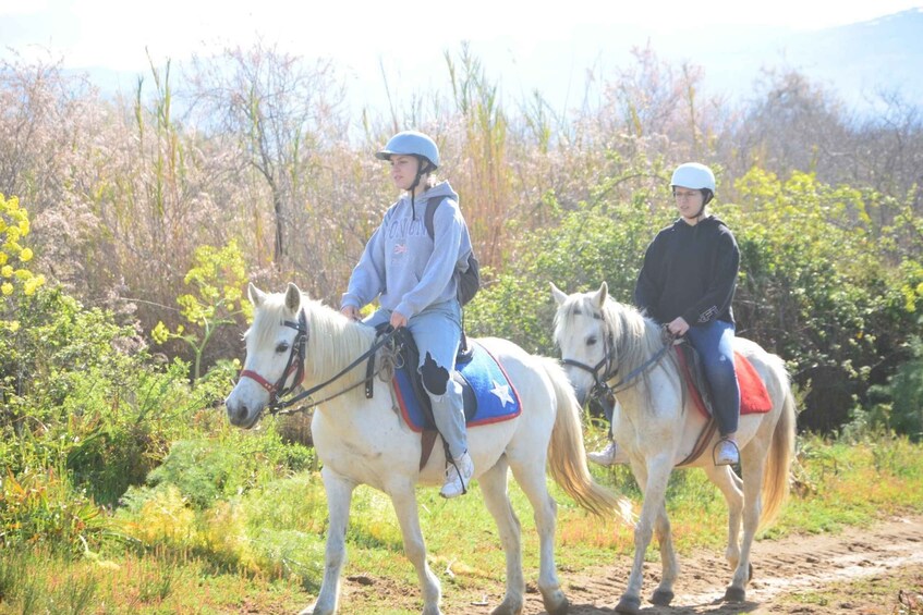 Picture 1 for Activity Kusadasi: Beach and Forest Horse Riding Tour