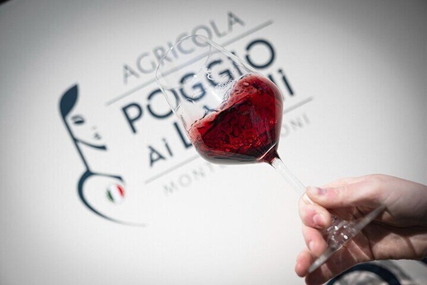 Chianti Lunch with Wine Tasting at Poggio ai Laghi Winery