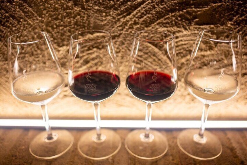 Agricola Poggio ai Laghi: Tasting of Wines, Oils and Vinegars