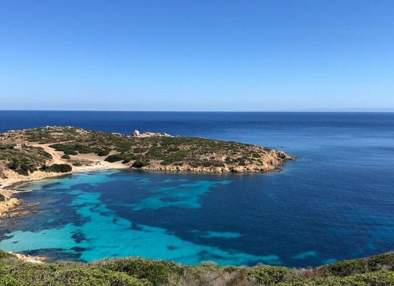 Picture 4 for Activity Stintino: Asinara National Park Full-Day Off-Road Tour