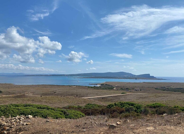 Picture 21 for Activity Stintino: Asinara National Park Full-Day Off-Road Tour