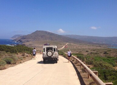 Stintino: Asinara National Park Full-Day Off-Road Tour