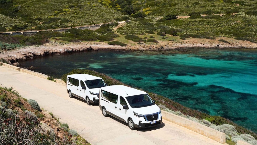 From Stintino: Asinara minivan tour