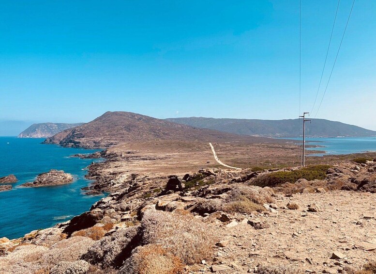 Picture 9 for Activity Stintino: Asinara National Park Full-Day Off-Road Tour