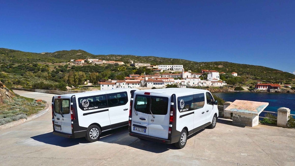 Picture 2 for Activity From Stintino: Asinara minivan tour