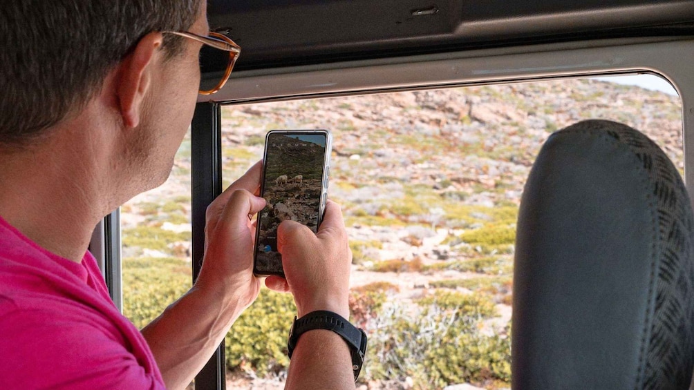 Picture 9 for Activity From Stintino: off-road tour to Asinara