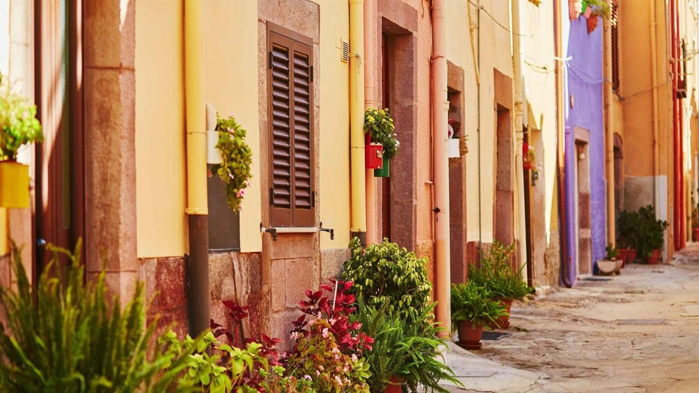 Picture 3 for Activity From Alghero: panoramic tour of Bosa