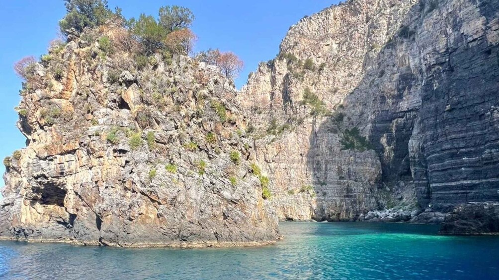 Picture 10 for Activity Camerota: Boat tour exploring Baia Infreschi